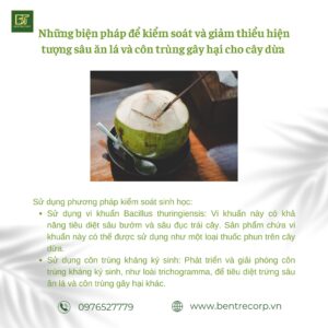 NHỮNG BIỆN PHÁP ĐỂ KIỂM SOÁT VÀ GIẢM THIỂU HIỆN TƯỢNG SÂU ĂN LÁ VÀ CÔN TRÙNG GÂY HẠI CHO CÂY DỪA
