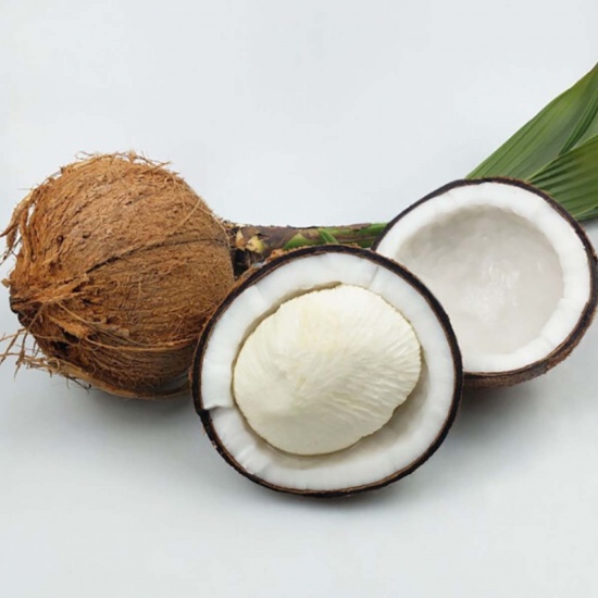 MỘNG DỪA- MÓN QUÀ QUÝ TỪ THIÊN NHIÊN