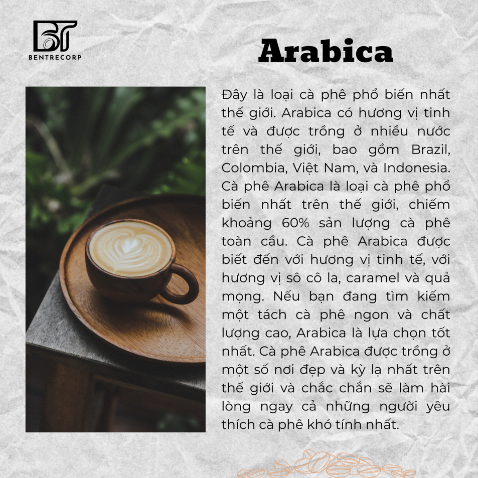 MỘT NỀN CÔNG NGHIỆP CÀ PHÊ PHÁT TRIỂN ĐI ĐÔI VỚI GIỐNG CÀ PHÊ NỔI TIẾNG.