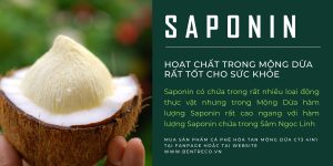 SAPONIN TRONG MỘNG DỪA CÓ LỢI NHƯ THẾ NÀO ĐỐI VỚI SỨC KHỎE CON NGƯỜI.