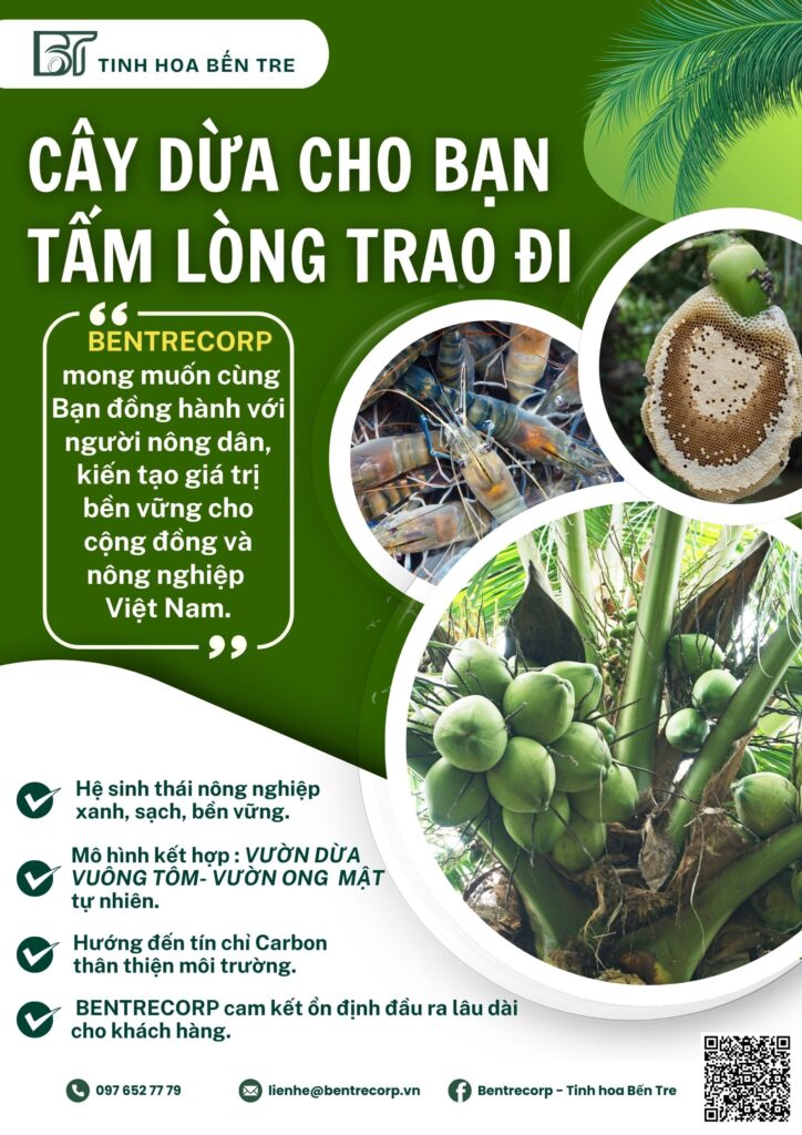 “CÂY DỪA CHO BẠN – TẤM LÒNG TRAO ĐI”