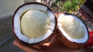 GỠ KHÓ CHO NÔNG DÂN TỪ VIỆC ‘NÂNG CHẤT’ CHẾ BIẾN NÔNG SẢN