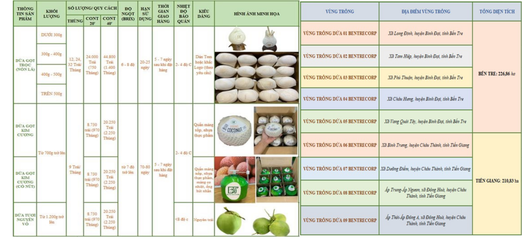 CUNG CẤP TRÁI DỪA TƯƠI ĐẠT CHUẨN XUẤT KHẨU-BENTRECORP