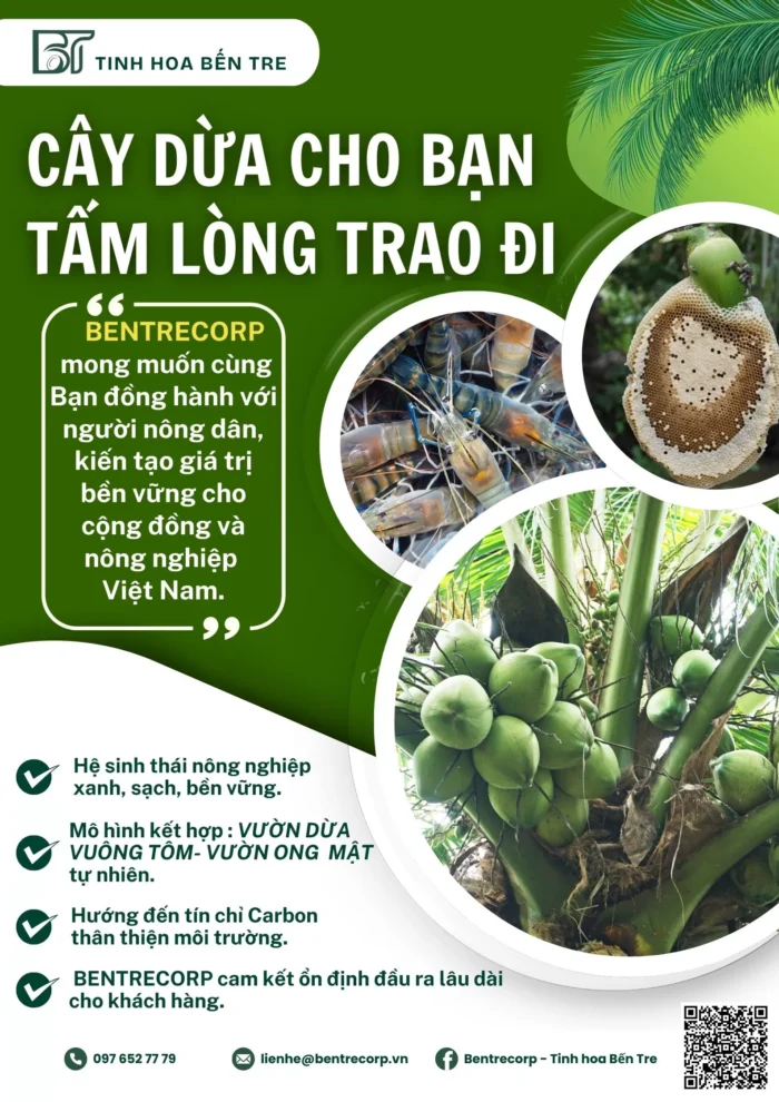 Dự án Dừa – Tôm – Mật