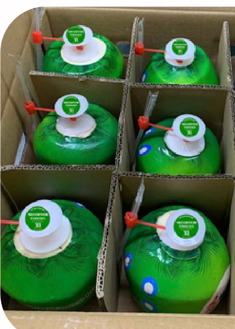 Diamond-Cut Fresh Siamese Coconut (With Cap)