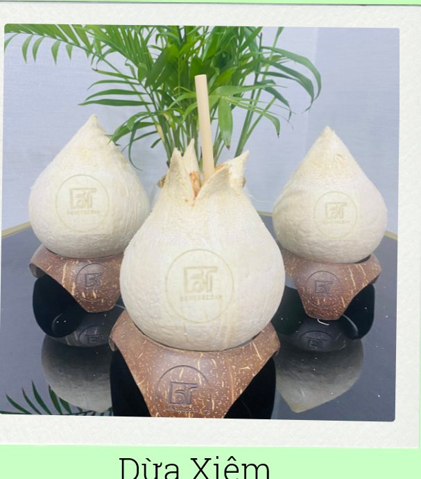 Dừa tươi Bến Tre