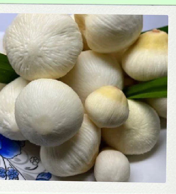 Natural Freeze-Dried Coconut Embryo